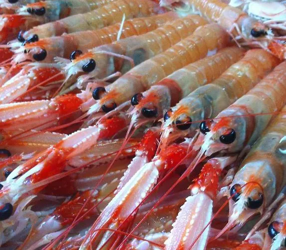 Gri-mar Hotel Llançà